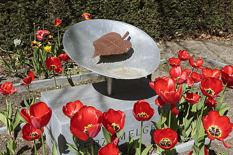 een monument op het verzamelgraf, omringd door rode tulpen